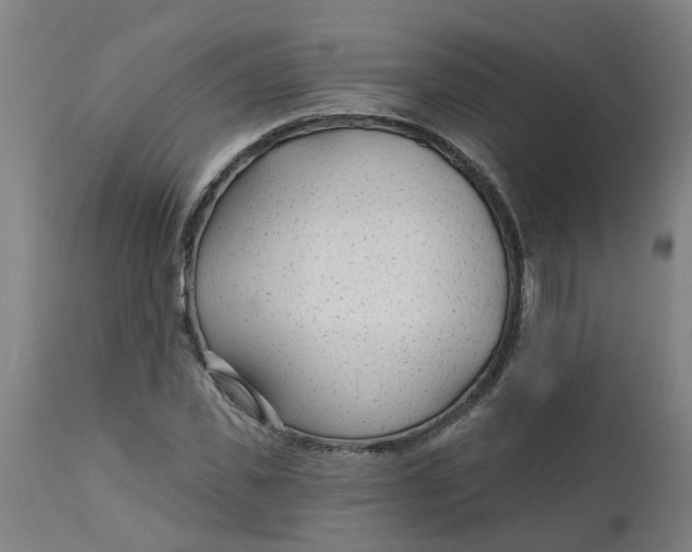 X0000112480925200909071153