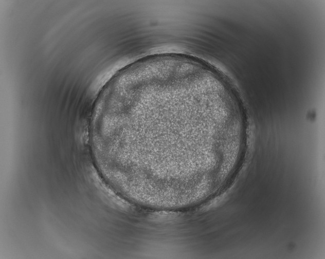 X0000112480929200909071153