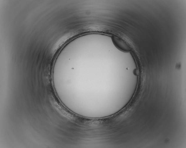 X0000112480930200909071153