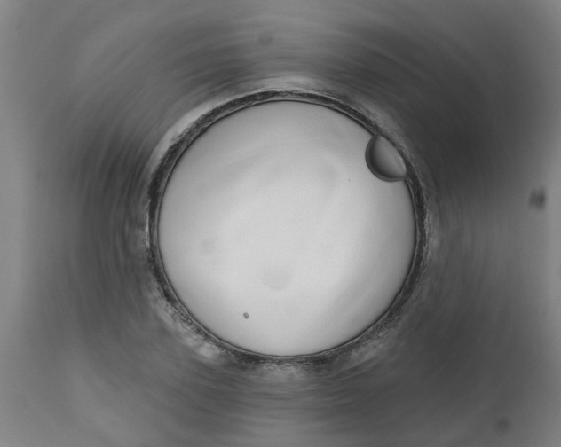 X0000112480931200909071153