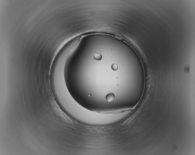 X0000112480932200909071153