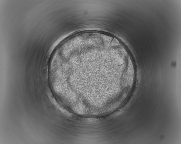 X0000112480933200909071153