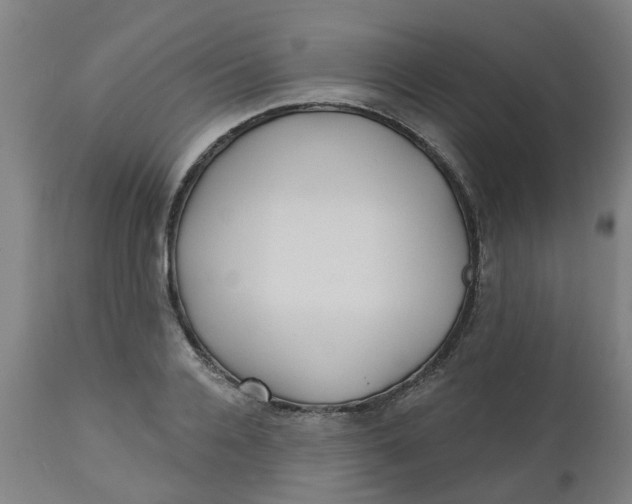 X0000112480936200909071153