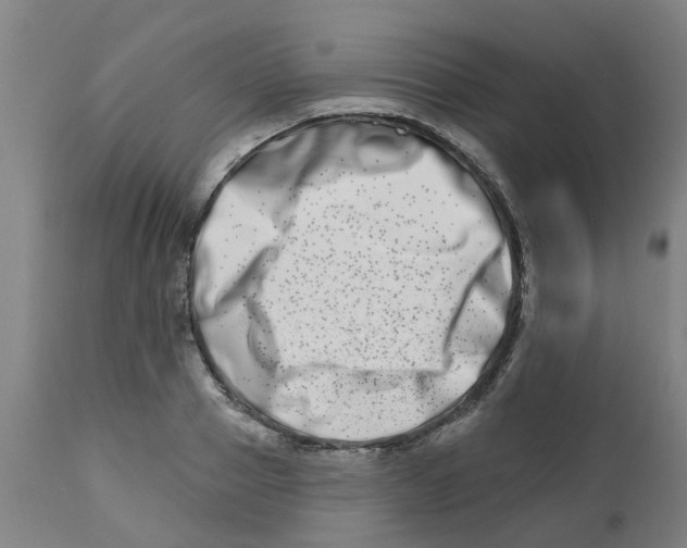 X0000112480937200909071153