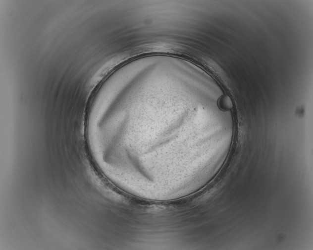 X0000112480938200909071153