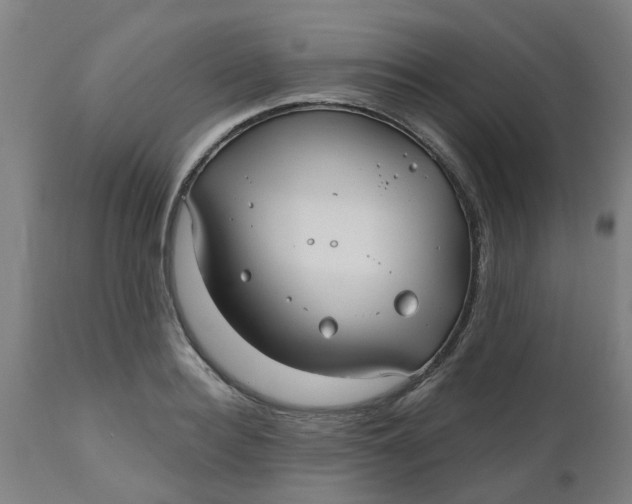 X0000112480940200909071153