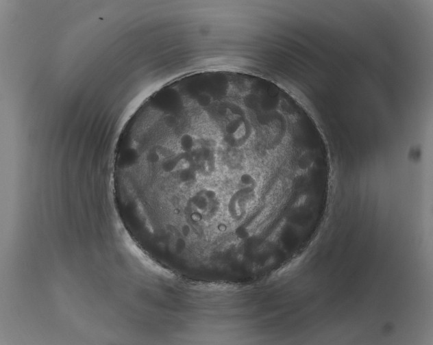 X0000112480941200909071153