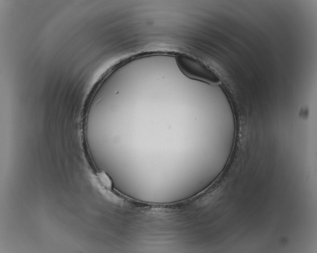 X0000112480942200909071153