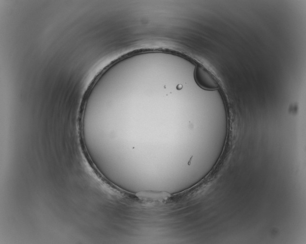 X0000112480943200909071153