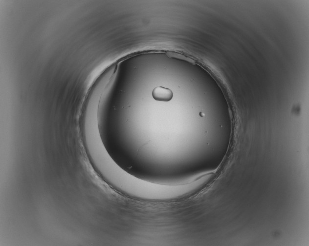 X0000112480944200909071153