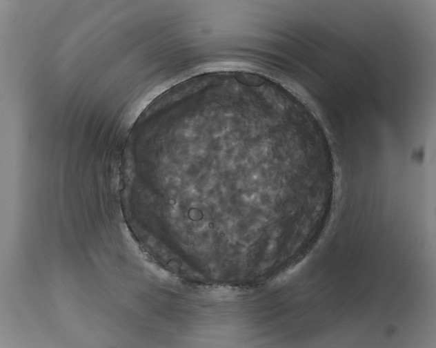 X0000112480945200909071153