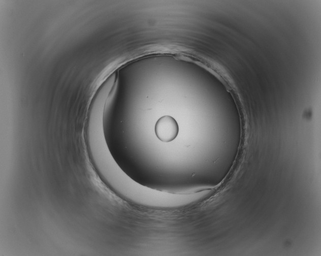 X0000112480946200909071153