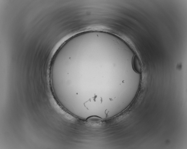 X0000112480947200909071153