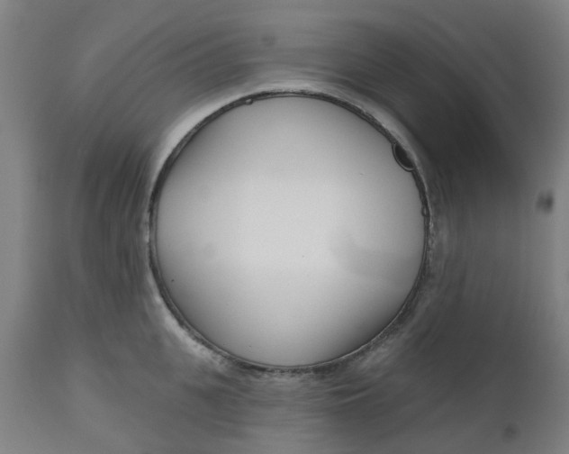 X0000112480951200909071153