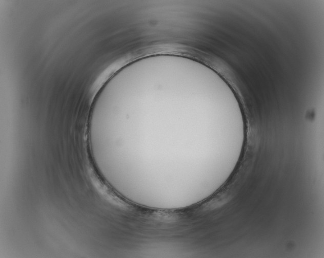 X0000112480954200909071153