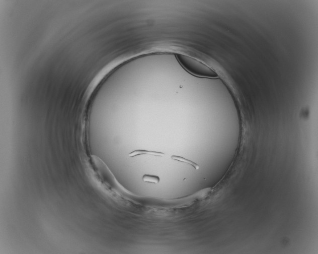 X0000112480955200909071153