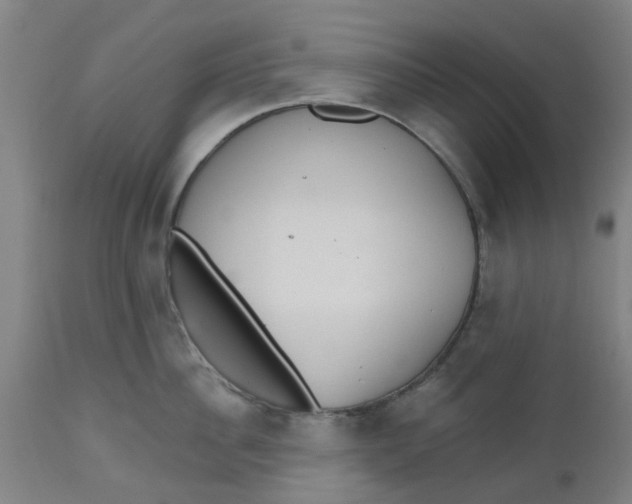 X0000112480956200909071153