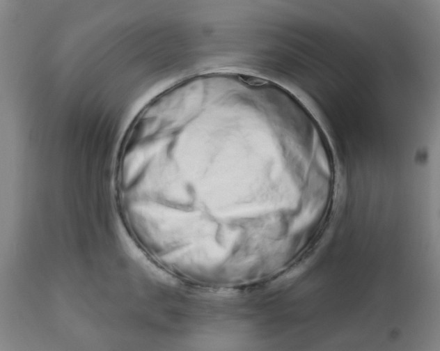 X0000112480957200909071153