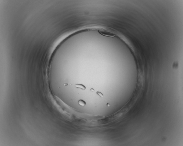 X0000112480959200909071153