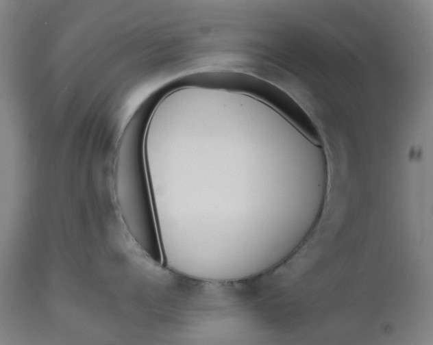 X0000112480960200909071153