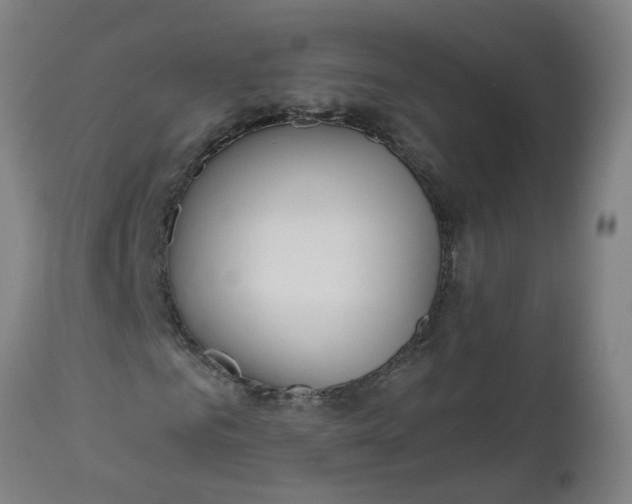 X0000112480961200909071153