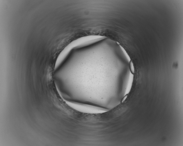 X0000112480962200909071153