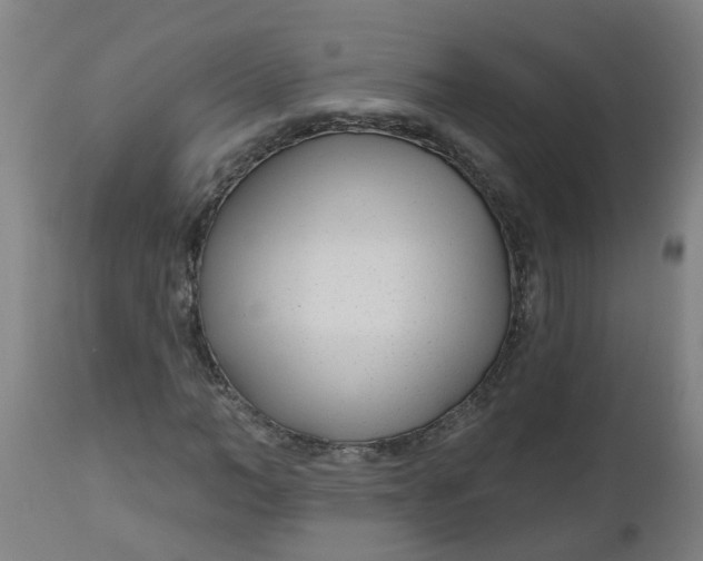 X0000112480966200909071153