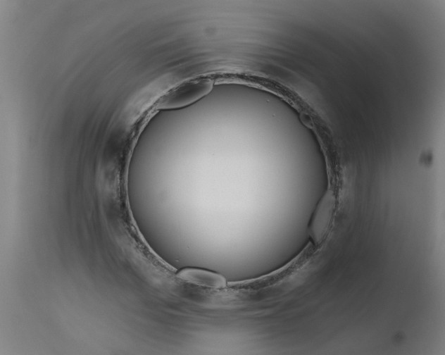 X0000112480969200909071153