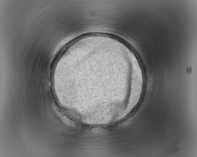 X0000112480974200909071153