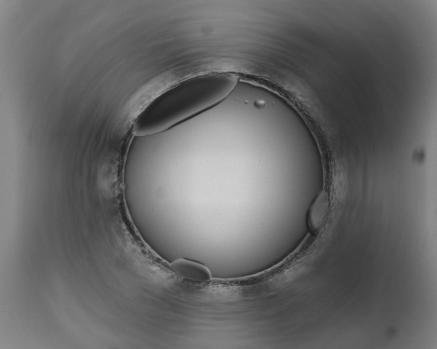 X0000112480977200909071153