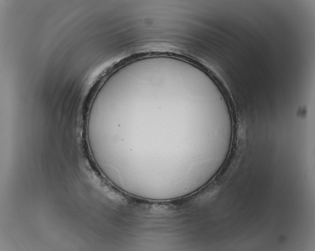 X0000112480979200909071153