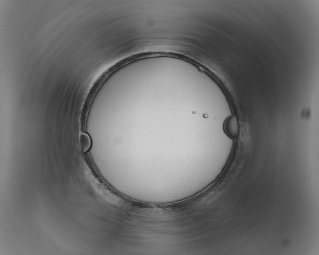 X0000112480980200909071152