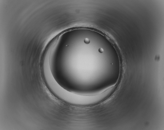 X0000112480981200909071152