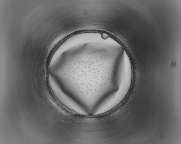 X0000112480982200909071152