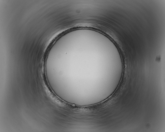 X0000112480984200909071152