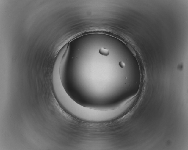 X0000112480985200909071152