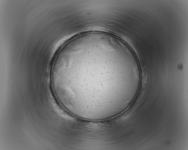 X0000112480987200909071152