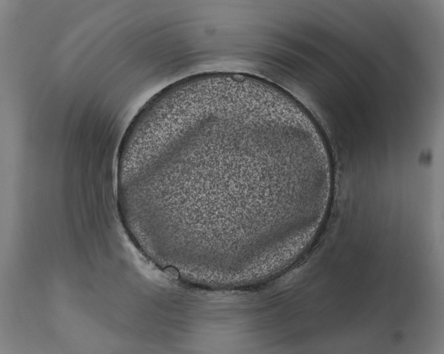 X0000112480988200909071152