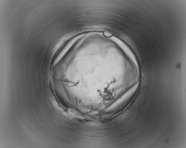 X0000112480994200909071152