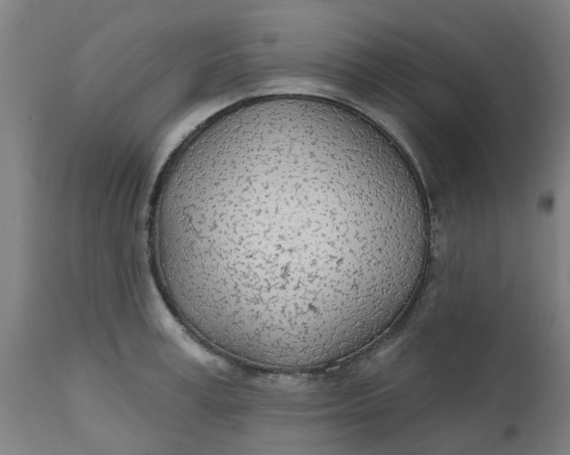 X0000112480995200909071152