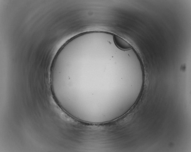 X0000112480996200909071152