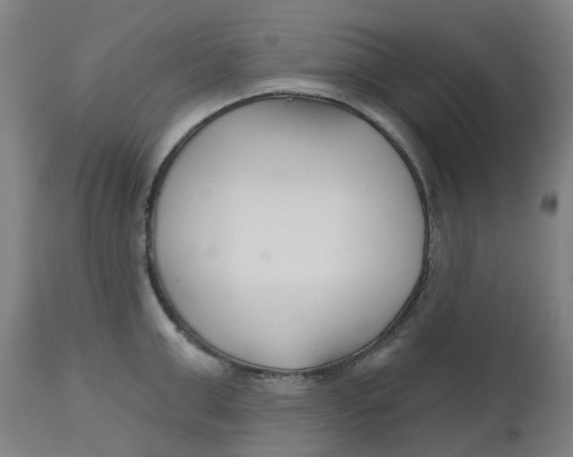 X0000112480999200909071152