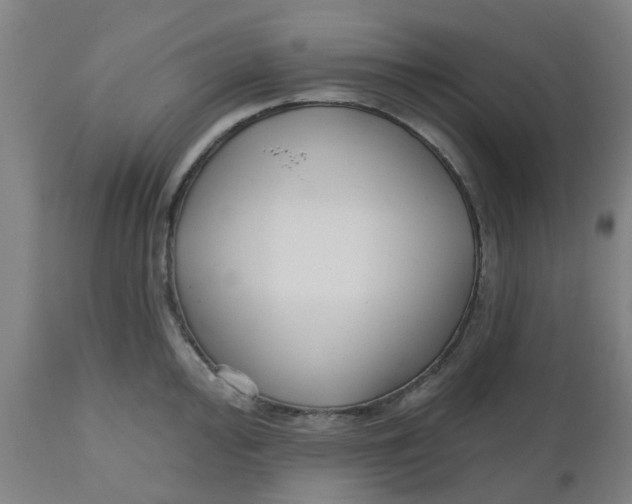 X0000112481000200909071152