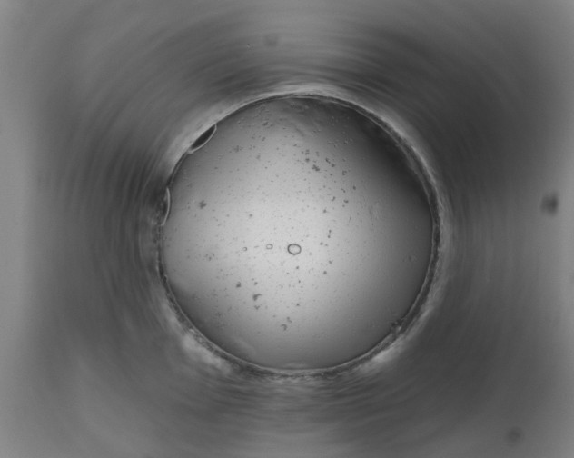 X0000112481001200909071152