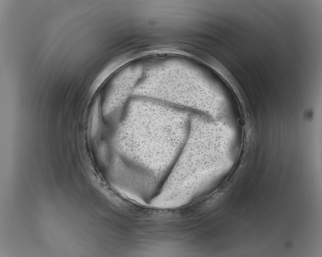 X0000112481002200909071152