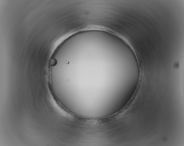 X0000112481003200909071152