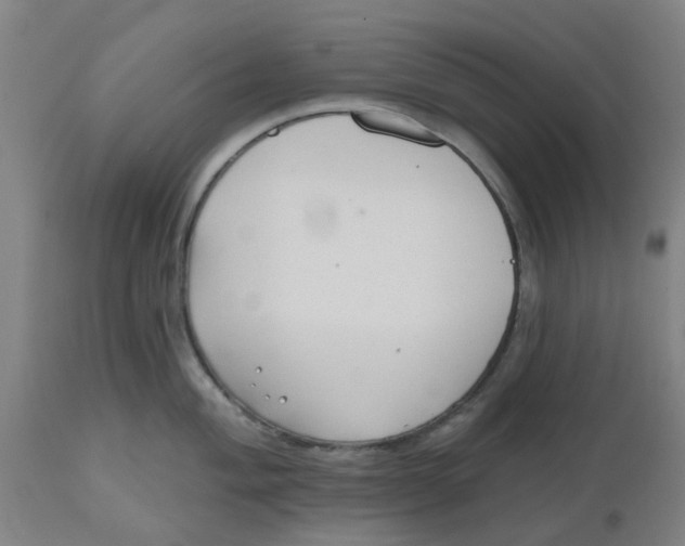 X0000112481004200909071152