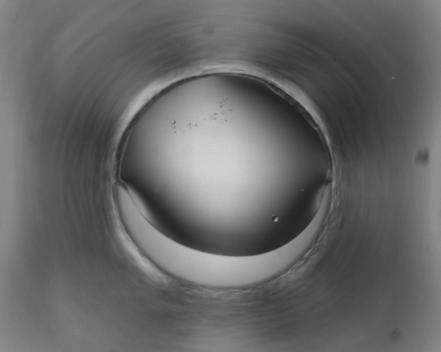 X0000112481005200909071152