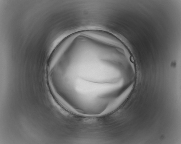 X0000112481006200909071152