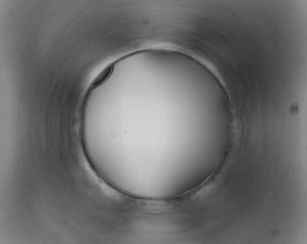 X0000112481007200909071152